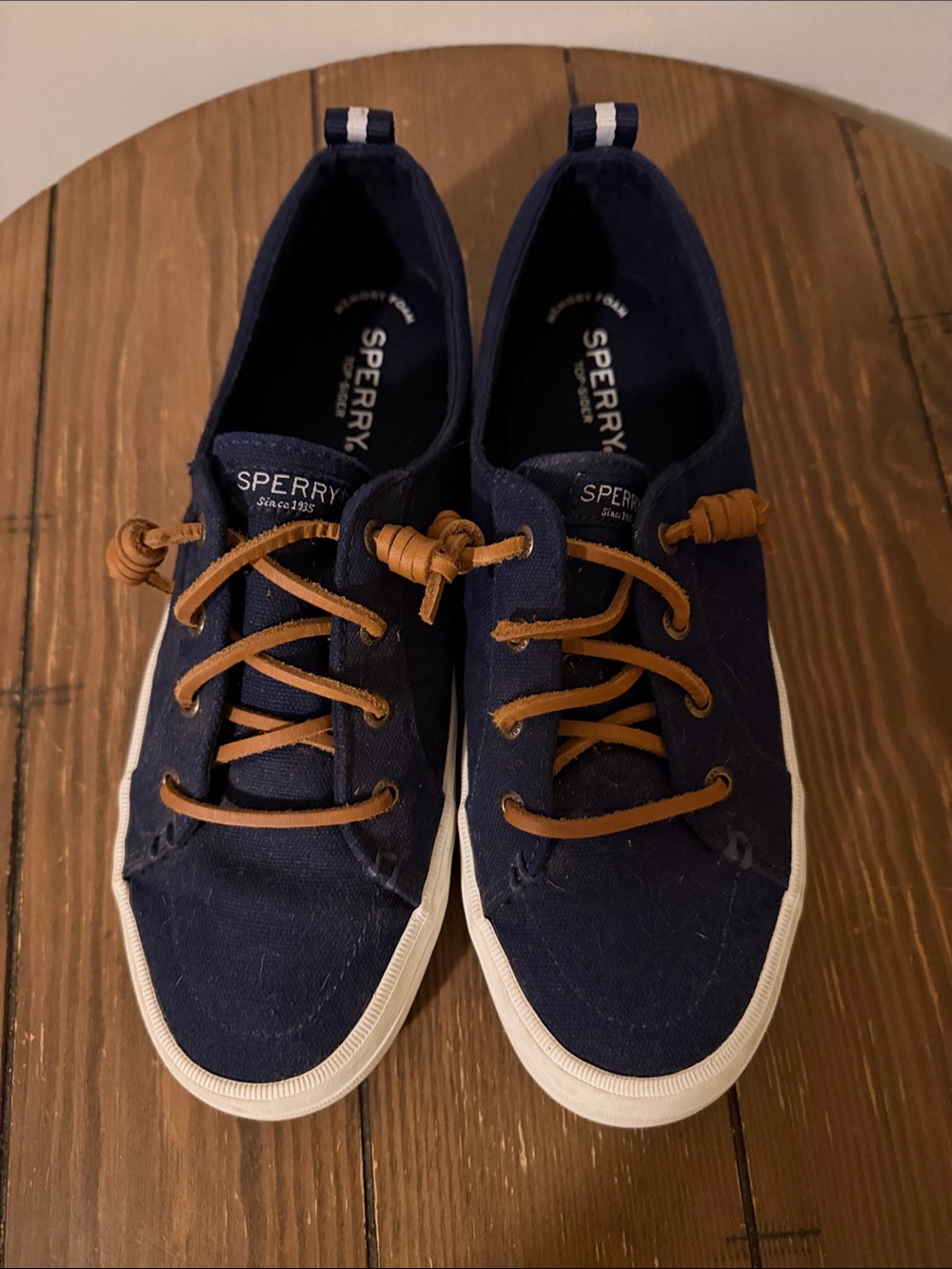 Sperry Navy Canvas Sneakers with Brown Laces